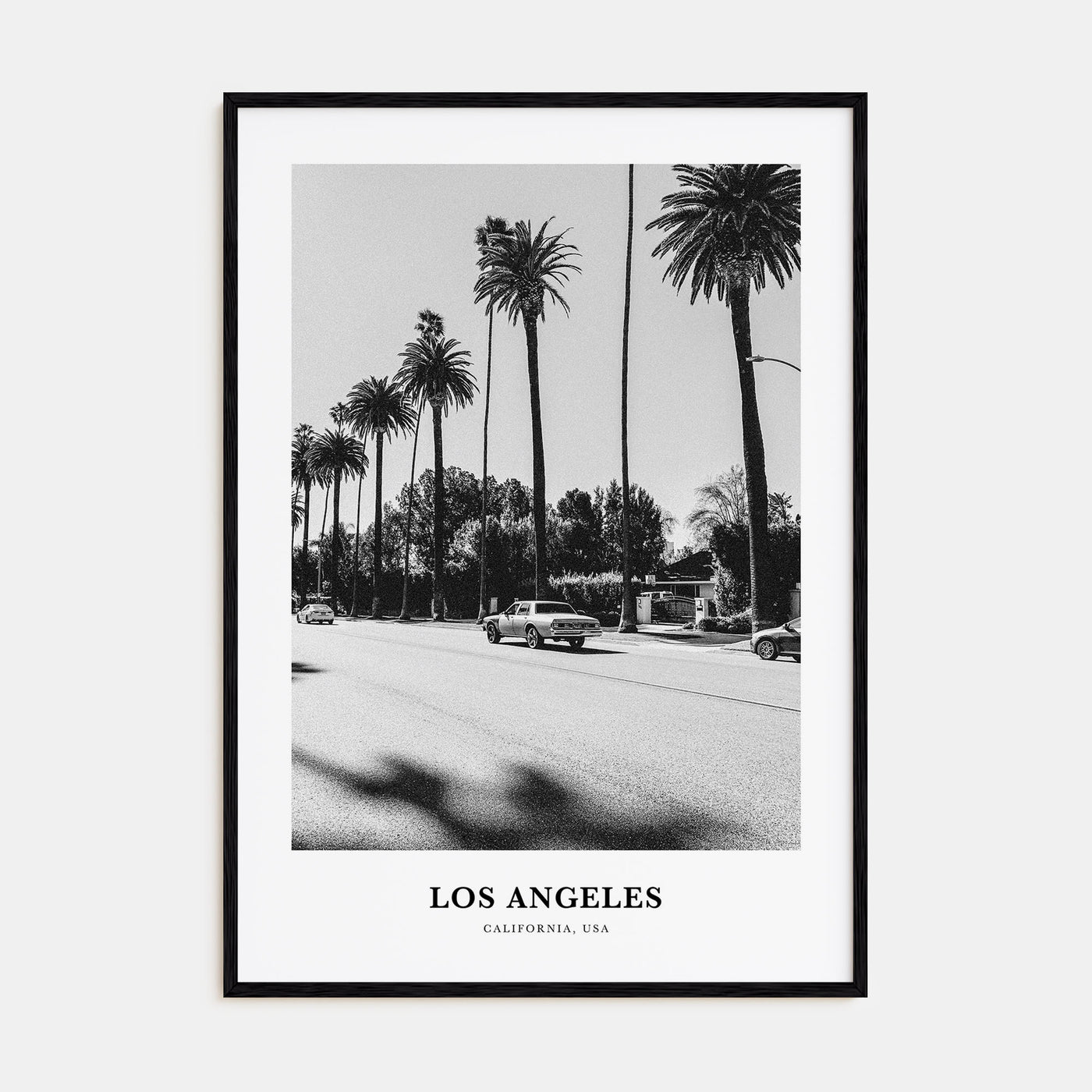 Los Angeles Portrait B&W No 4 Poster