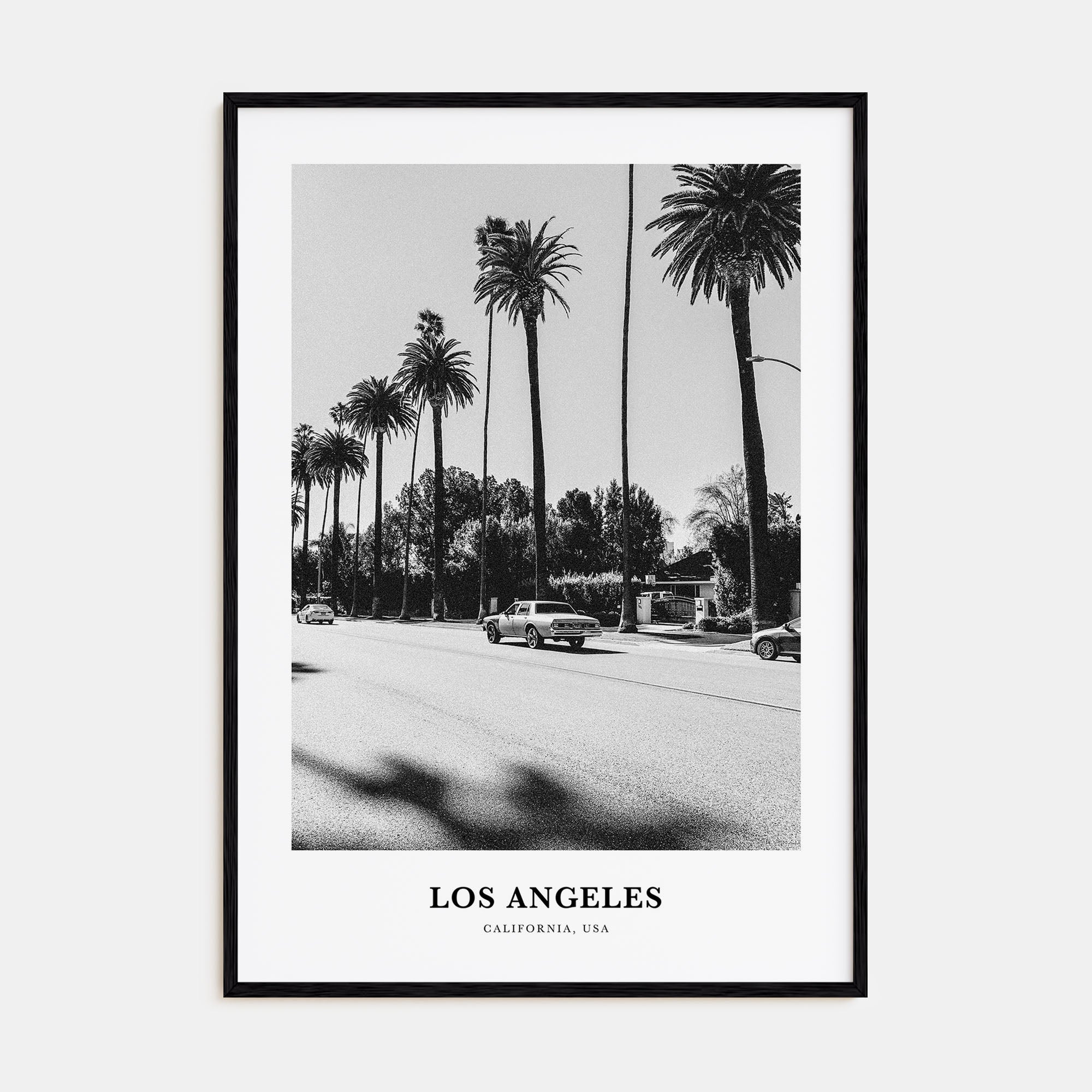 Los Angeles Portrait B&W No 4 Poster