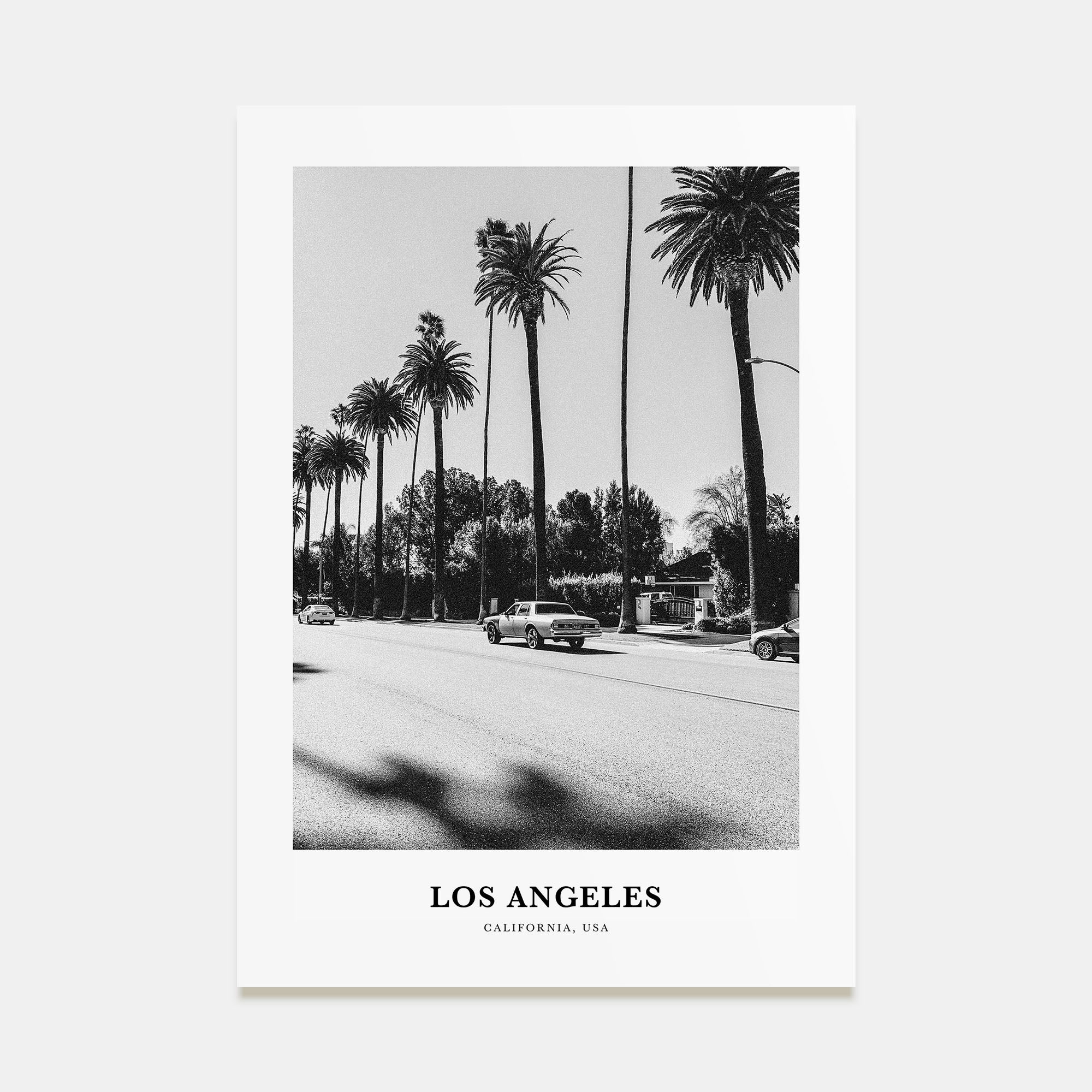 Los Angeles Portrait B&W No 4 Poster