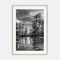 Louisiana Photo B&W Poster