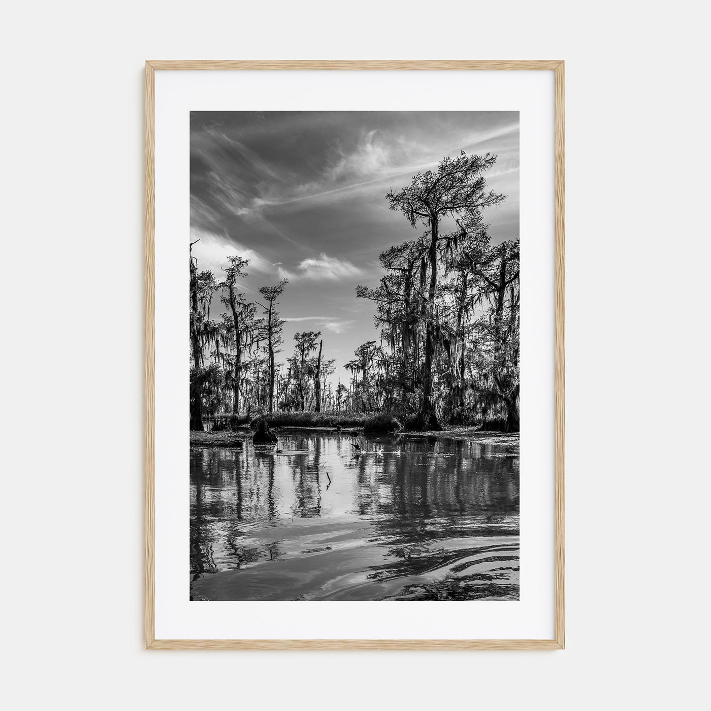 Louisiana Photo B&W Poster