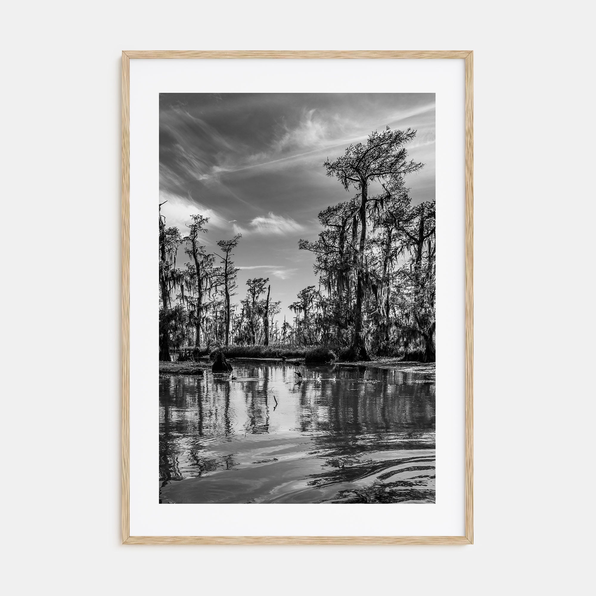 Louisiana Photo B&W Poster