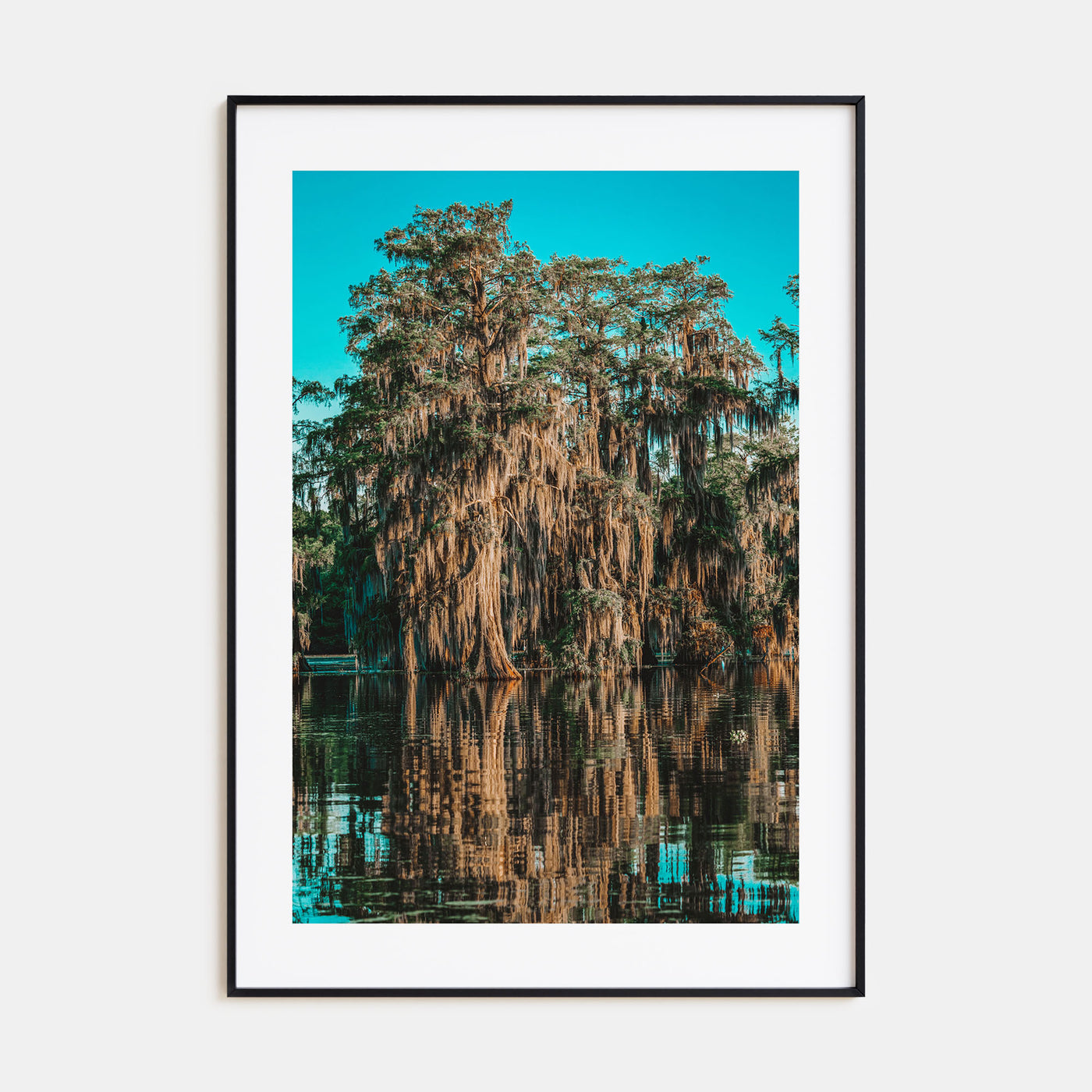 Louisiana Photo Color No 1 Poster