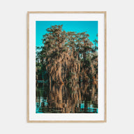 Louisiana Photo Color No 1 Poster