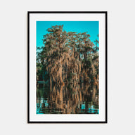 Louisiana Photo Color No 1 Poster