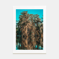 Louisiana Photo Color No 1 Poster