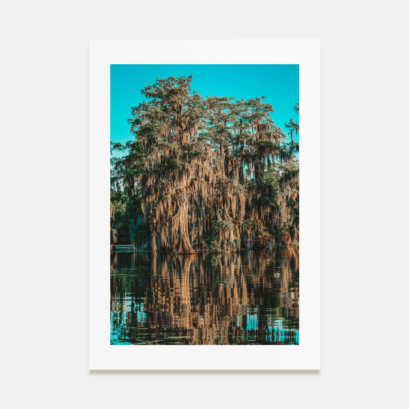 Louisiana Photo Color No 1 Poster