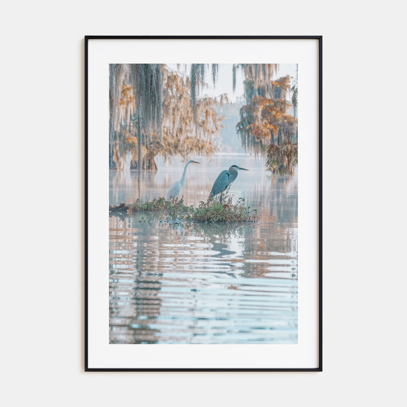 Louisiana Photo Color No 2 Poster