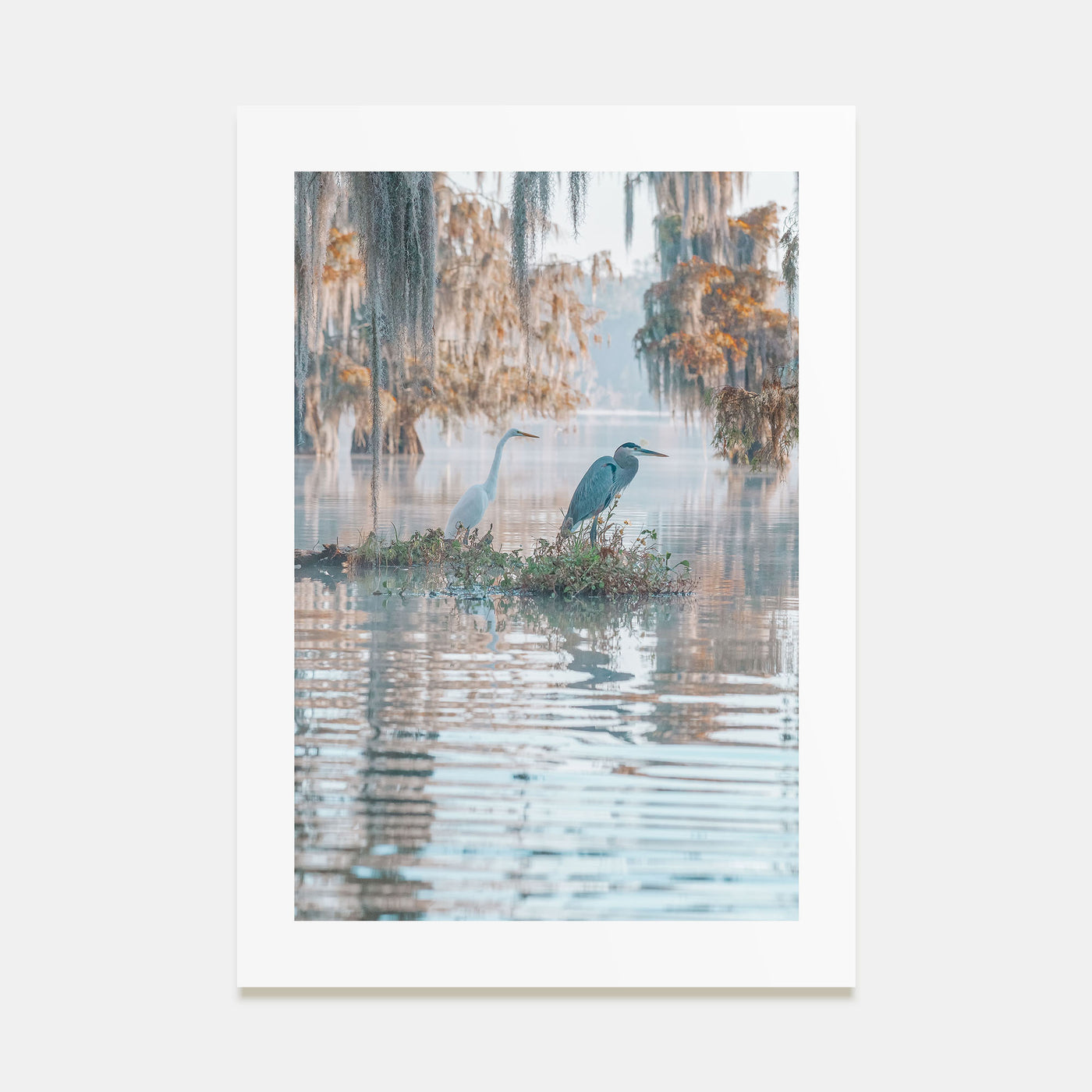 Louisiana Photo Color No 2 Poster