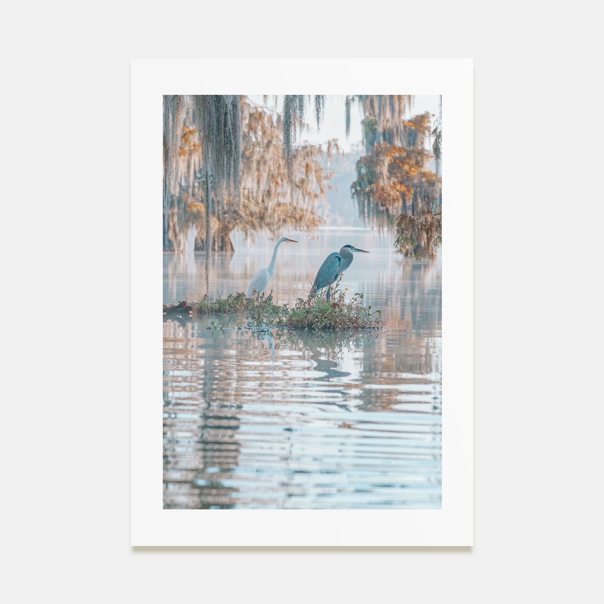 Louisiana Photo Color No 2 Poster