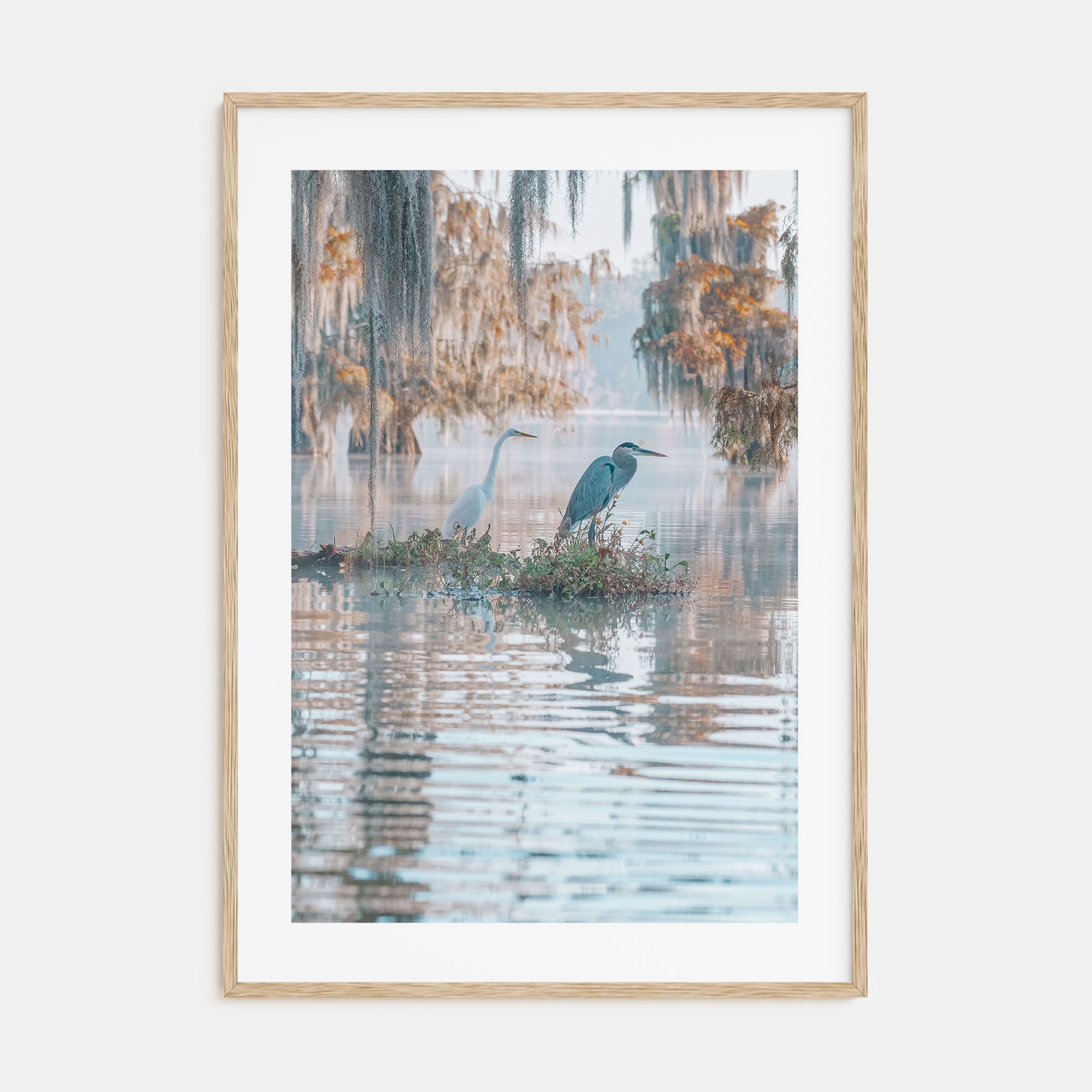 Louisiana Photo Color No 2 Poster