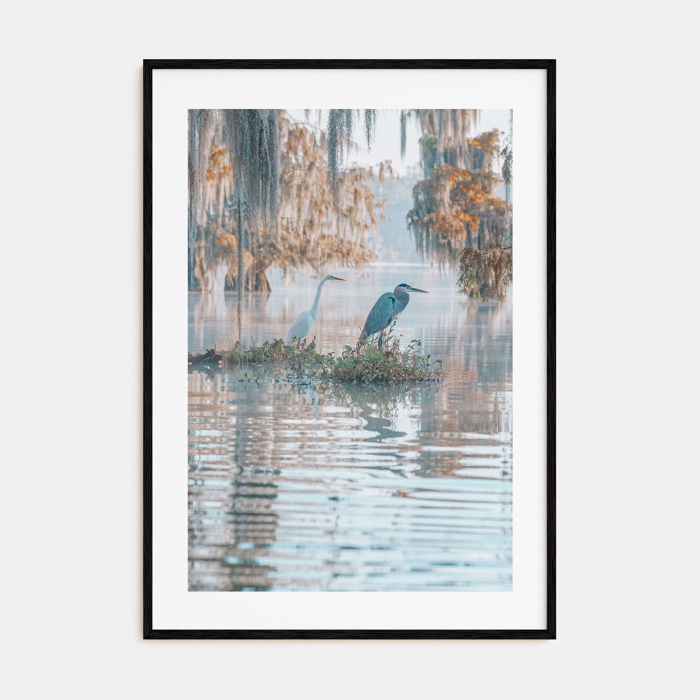 Louisiana Photo Color No 2 Poster