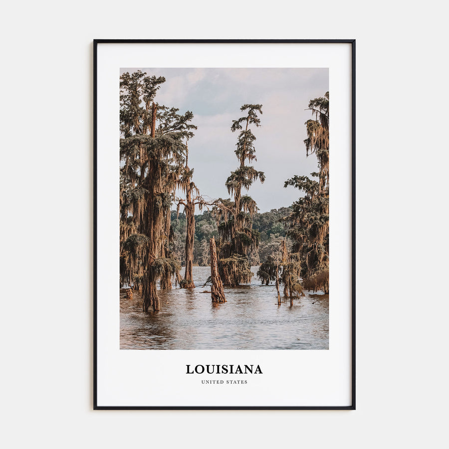 Louisiana Portrait Color Poster
