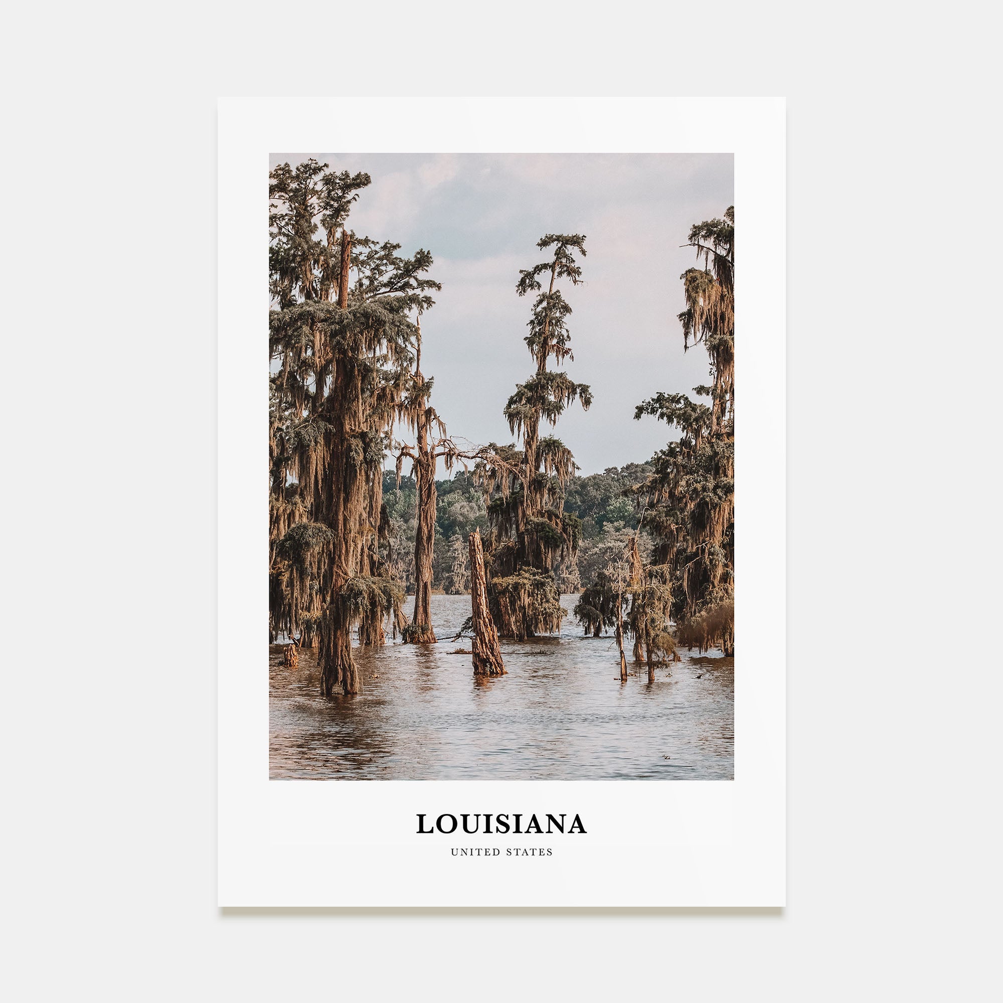 Louisiana Portrait Color Poster