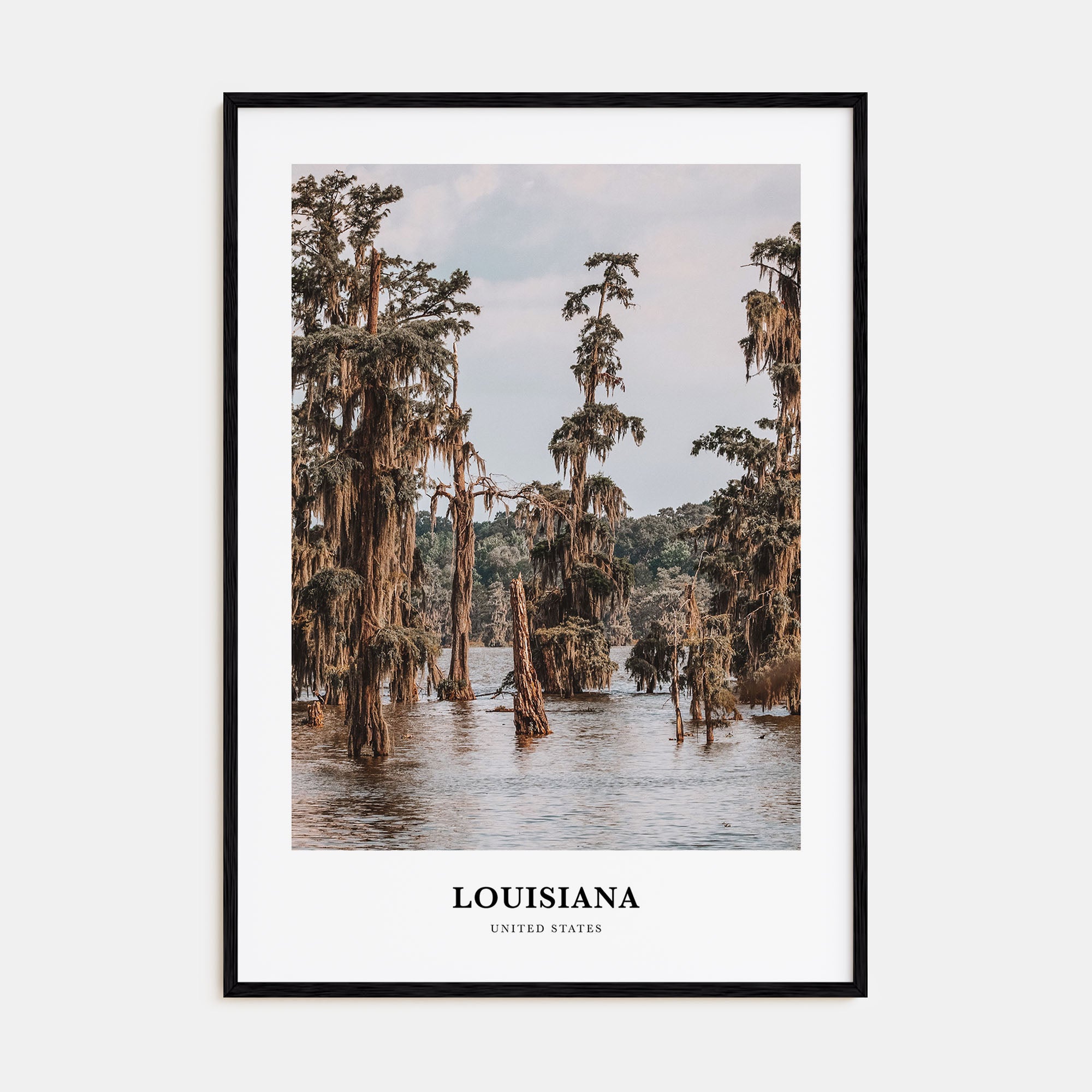 Louisiana Portrait Color Poster