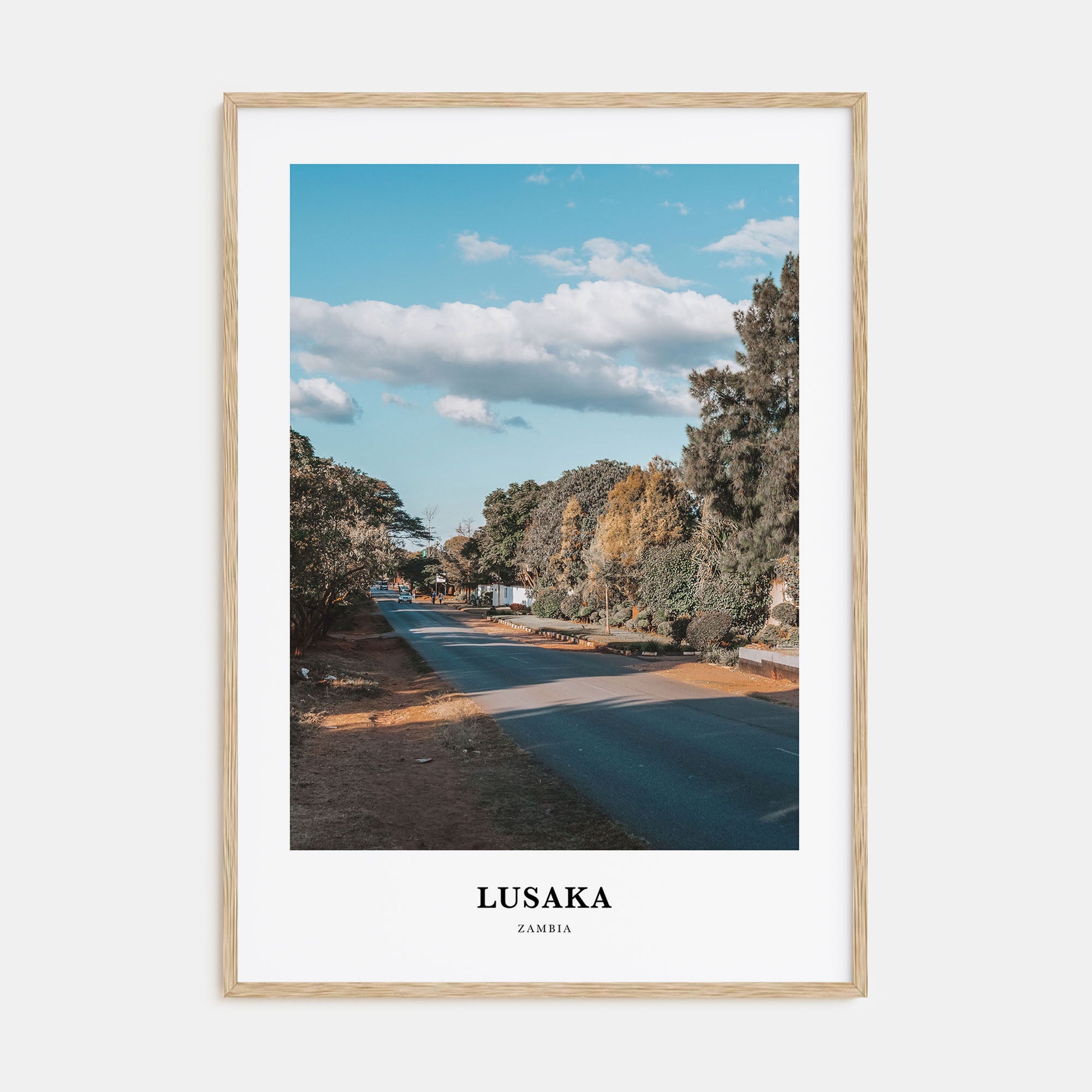 Lusaka Portrait Color Poster