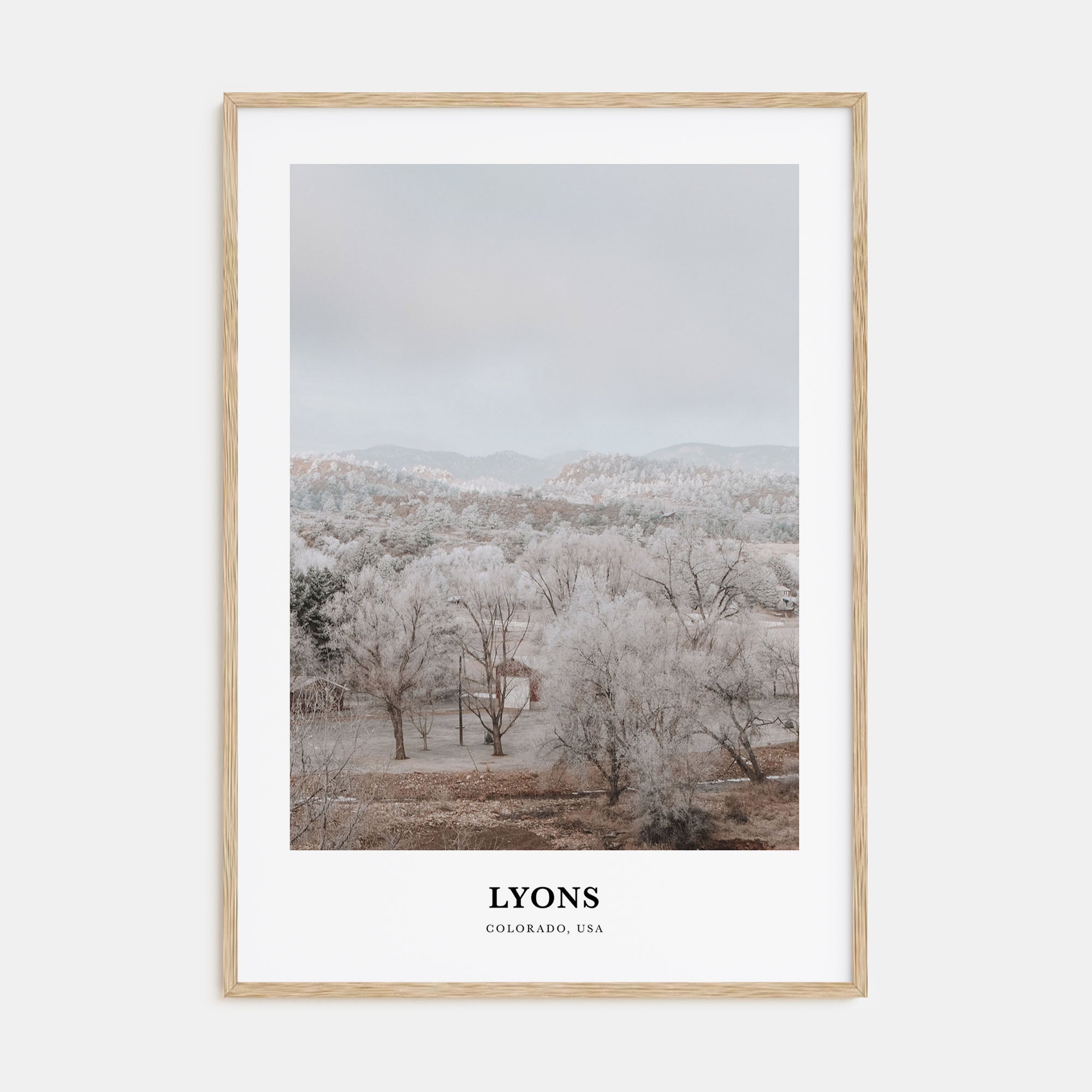 Lyons Portrait Color Poster