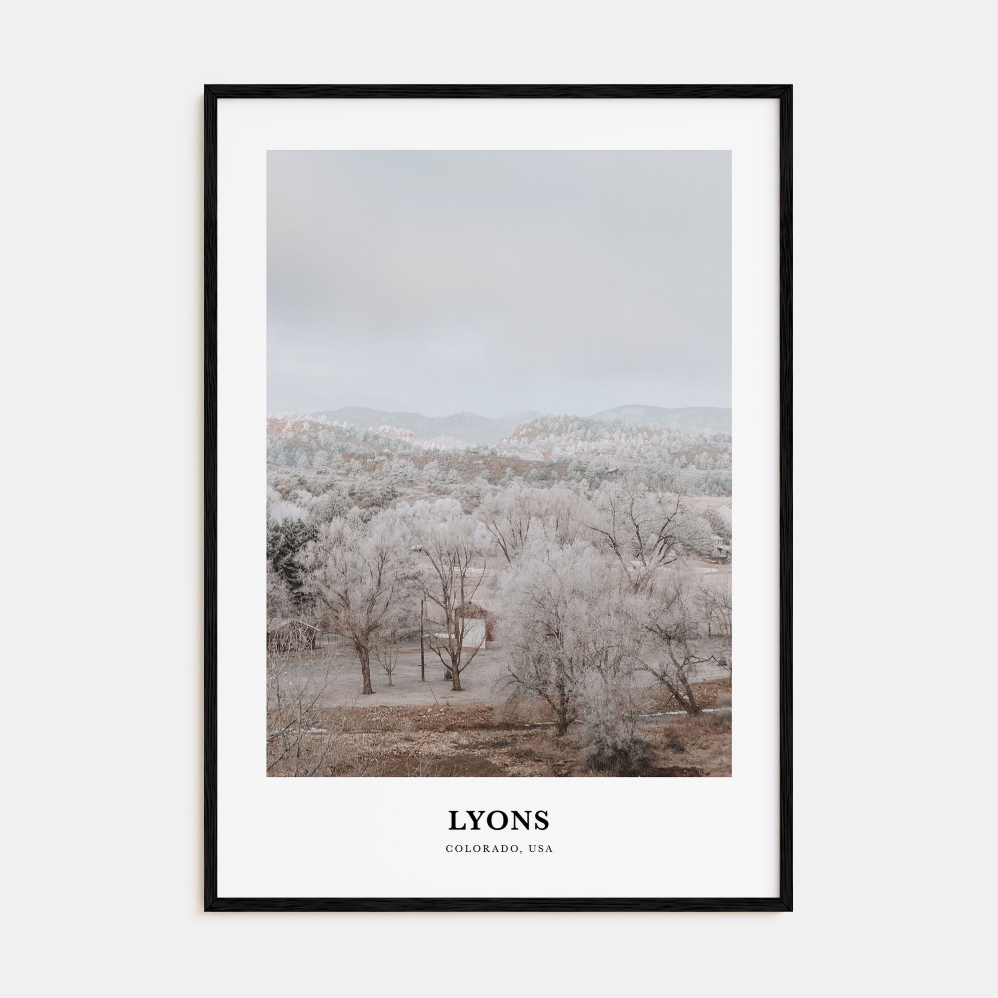 Lyons Portrait Color Poster