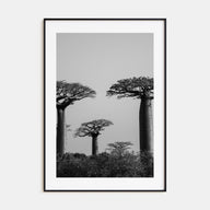 Madagascar Photo B&W Poster