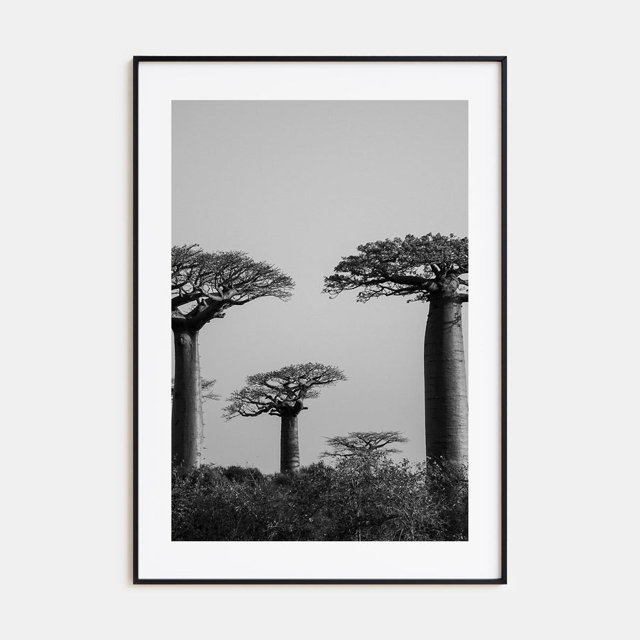 Madagascar Photo B&W Poster
