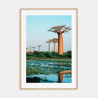 Madagascar Photo Color Poster