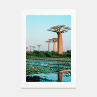 Madagascar Photo Color Poster