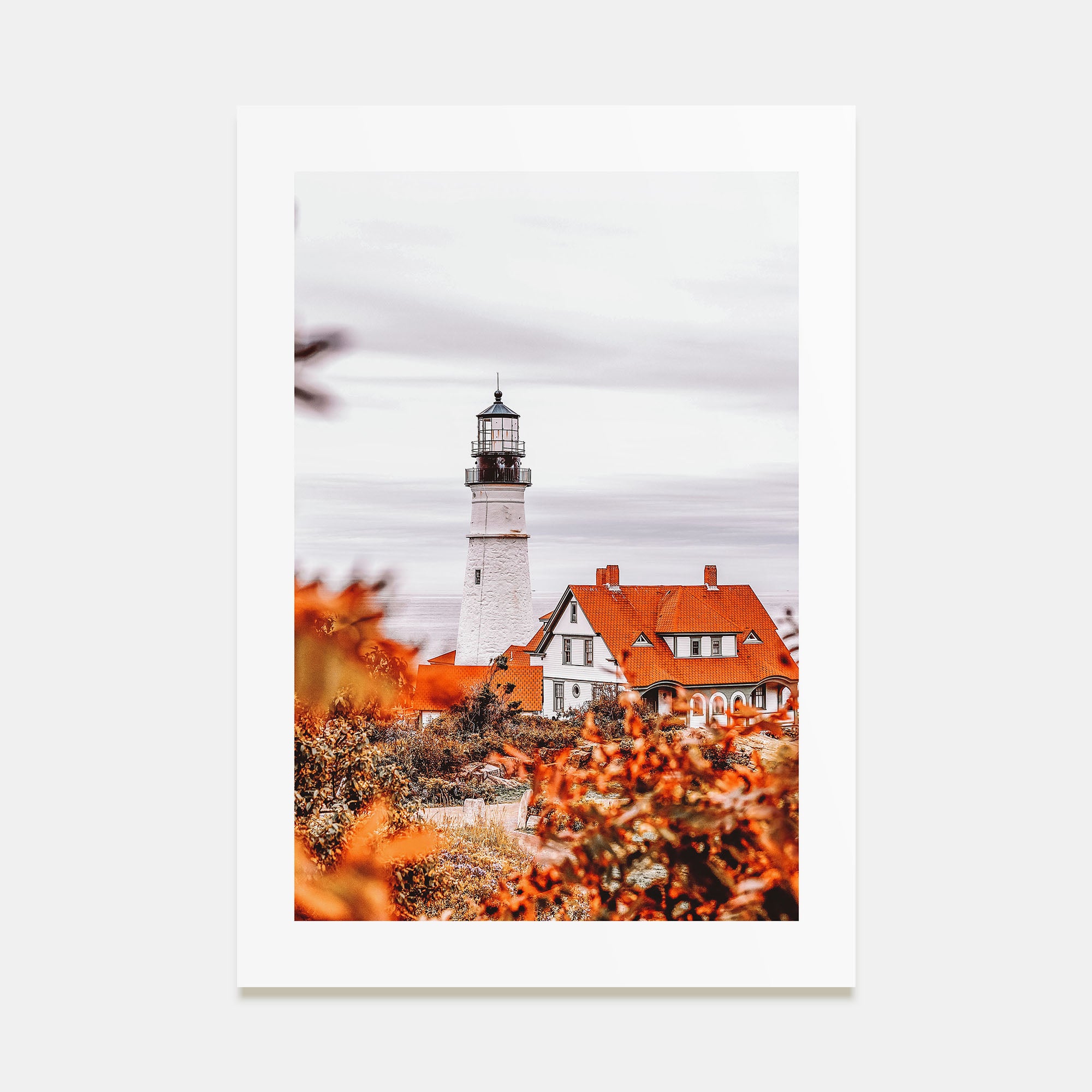 Maine Photo Color No 2 Poster