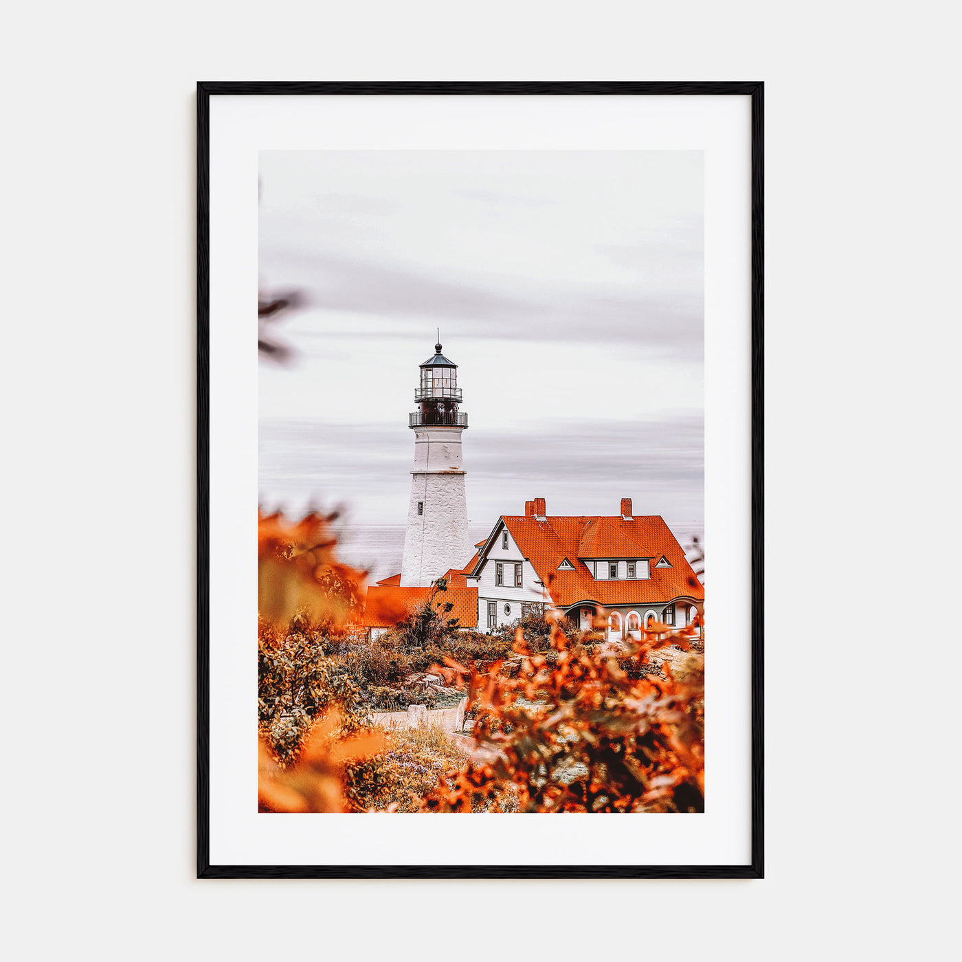 Maine Photo Color No 2 Poster