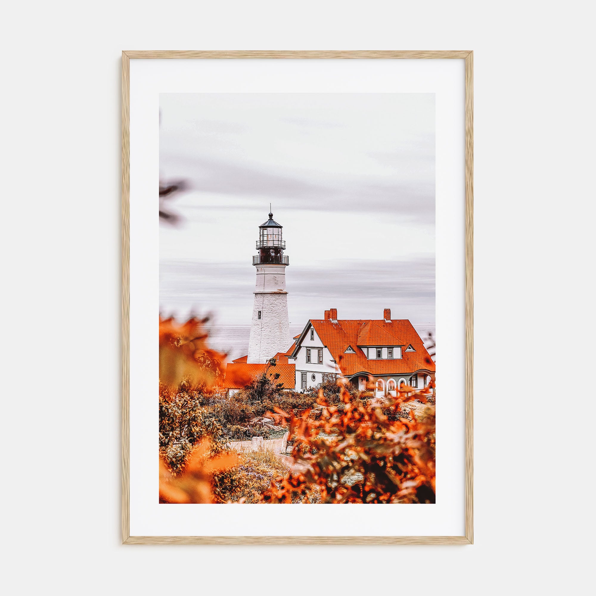 Maine Photo Color No 2 Poster