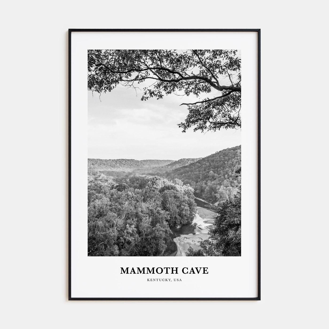 Mammoth Cave Portrait B&W Poster