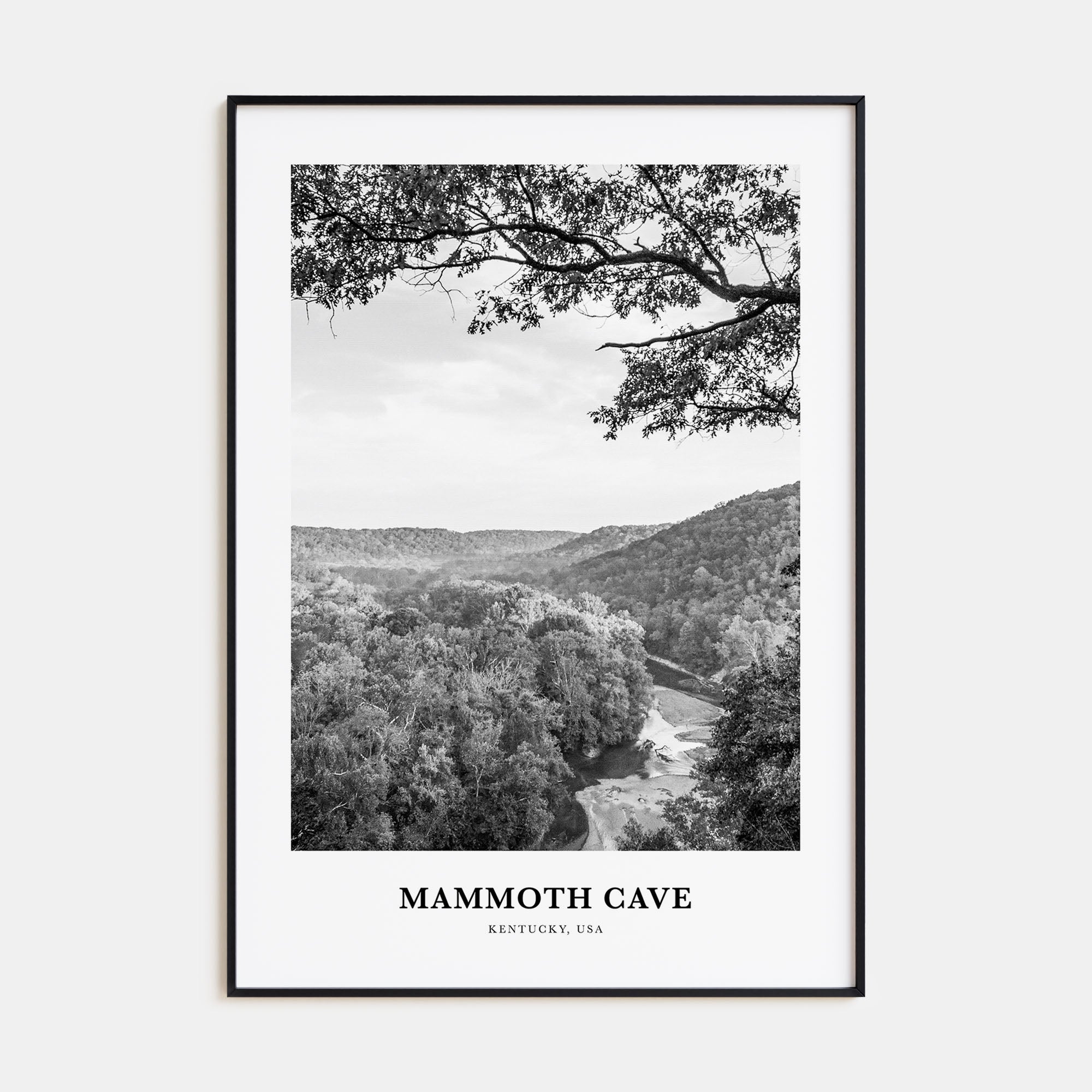 Mammoth Cave Portrait B&W Poster