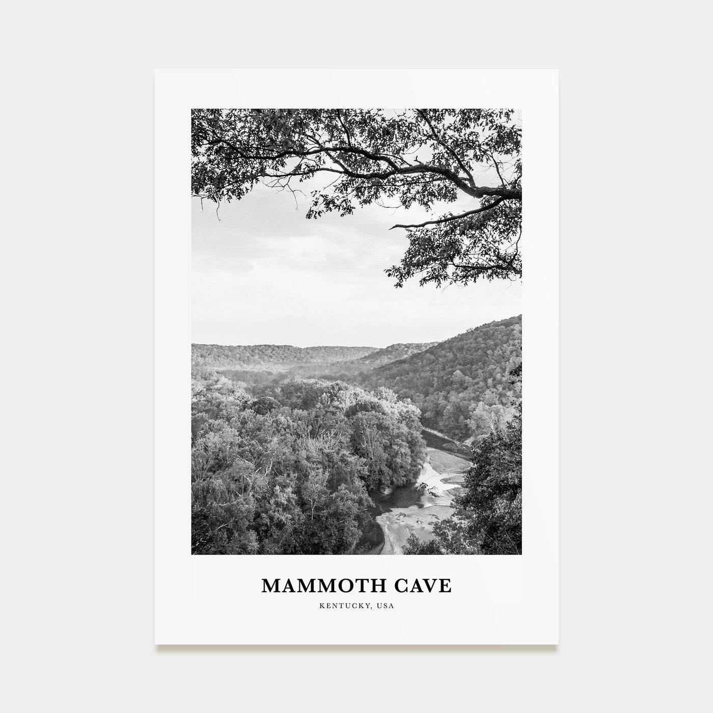 Mammoth Cave Portrait B&W Poster