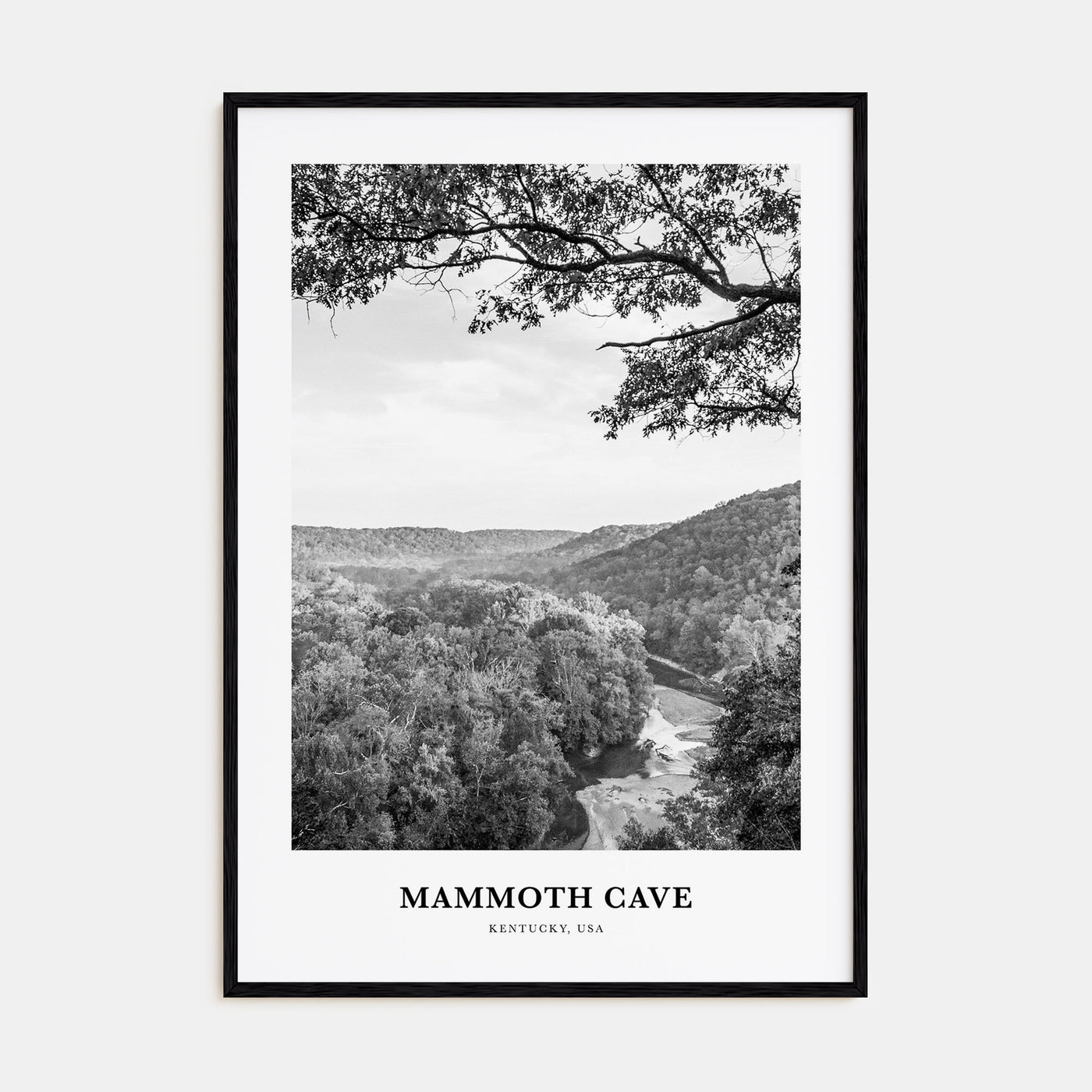 Mammoth Cave Portrait B&W Poster