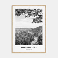 Mammoth Cave Portrait B&W Poster