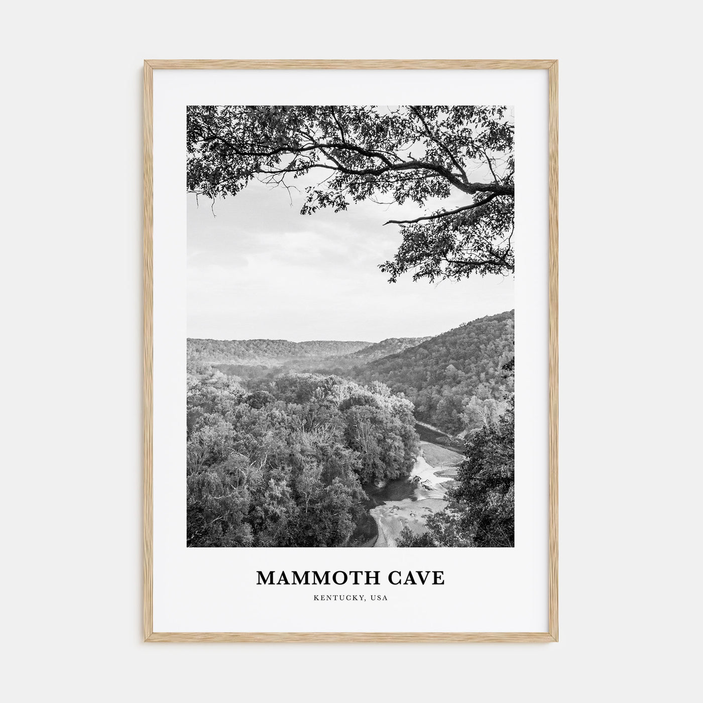 Mammoth Cave Portrait B&W Poster