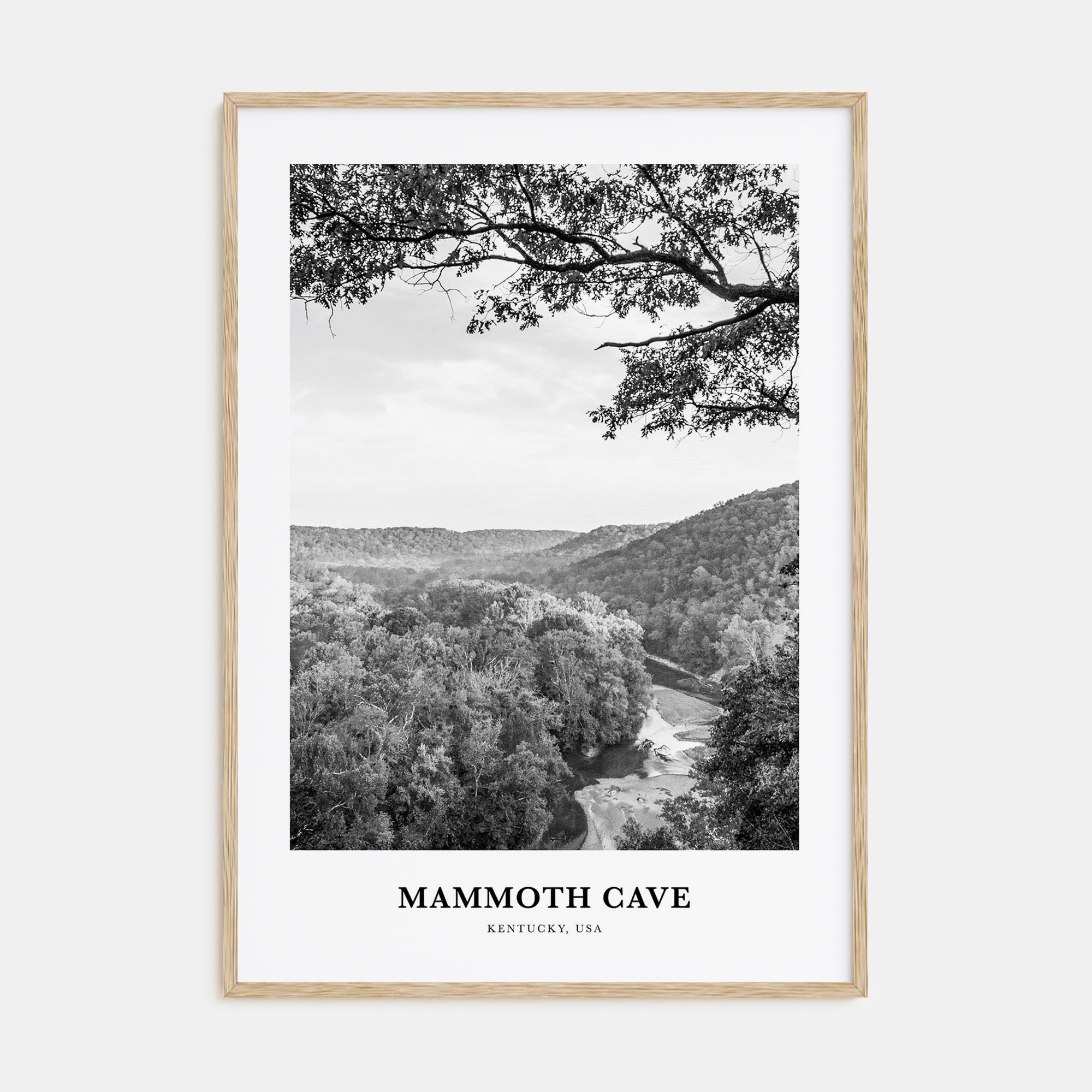 Mammoth Cave Portrait B&W Poster
