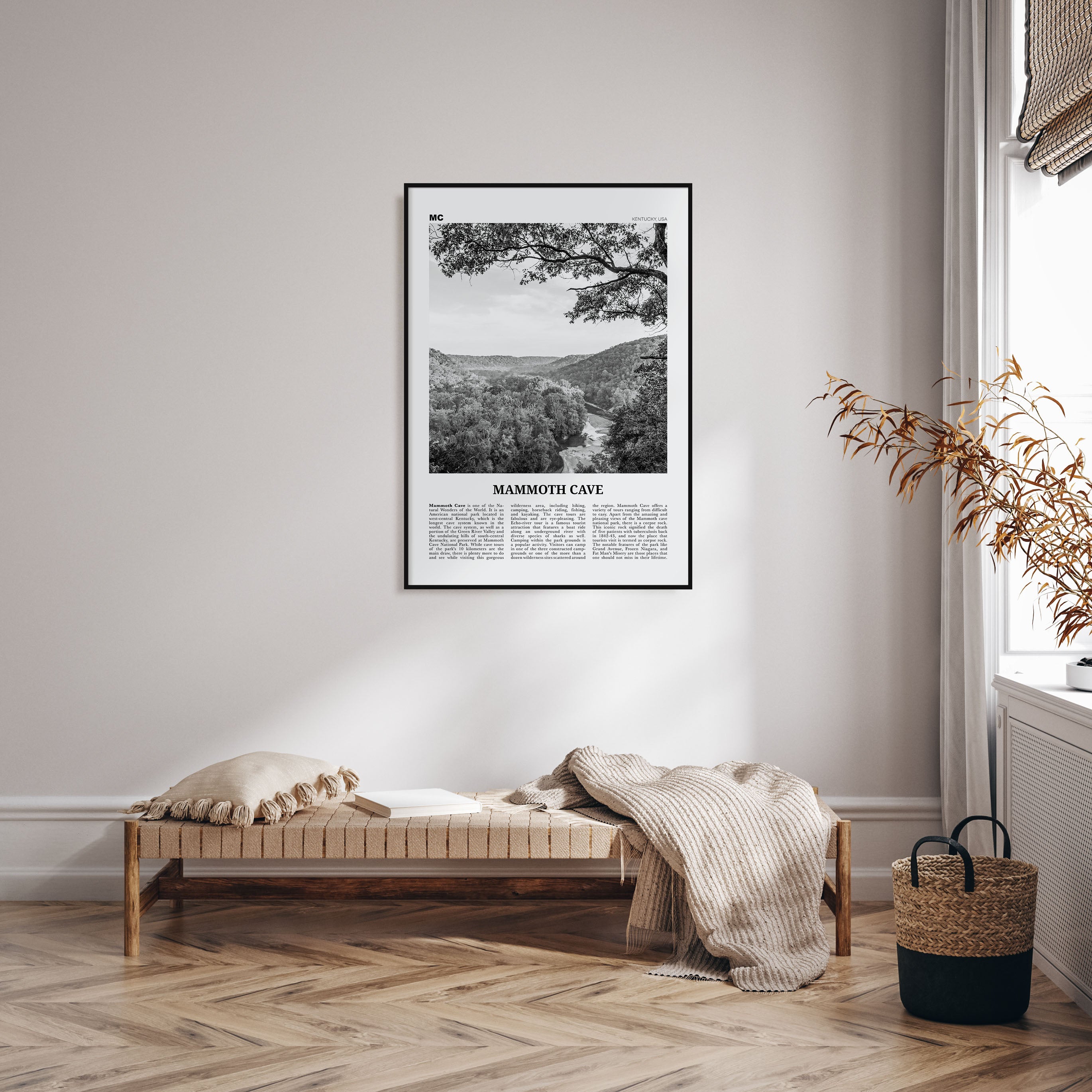 Mammoth Cave Travel B&W Poster