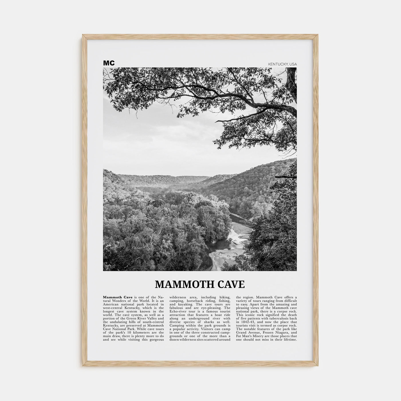 Mammoth Cave Travel B&W Poster