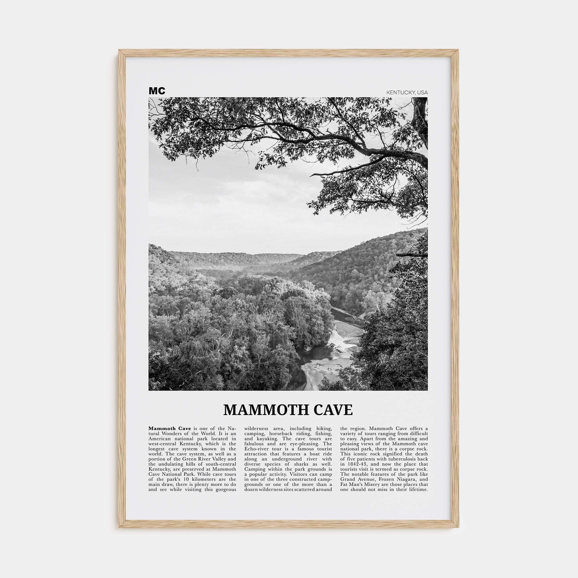 Mammoth Cave Travel B&W Poster