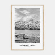 Mammoth Lakes Portrait B&W Poster