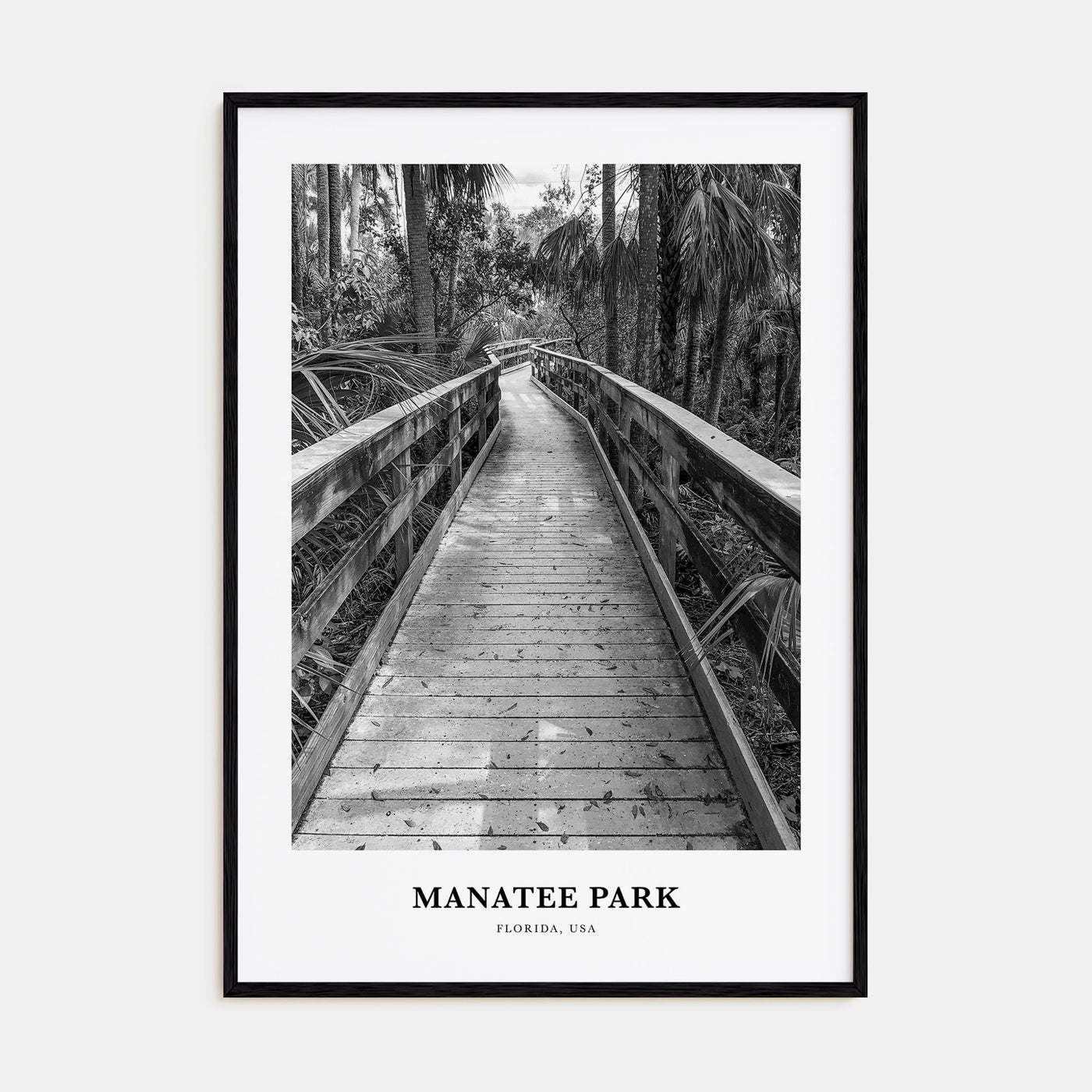 Manatee Park Portrait B&W Poster