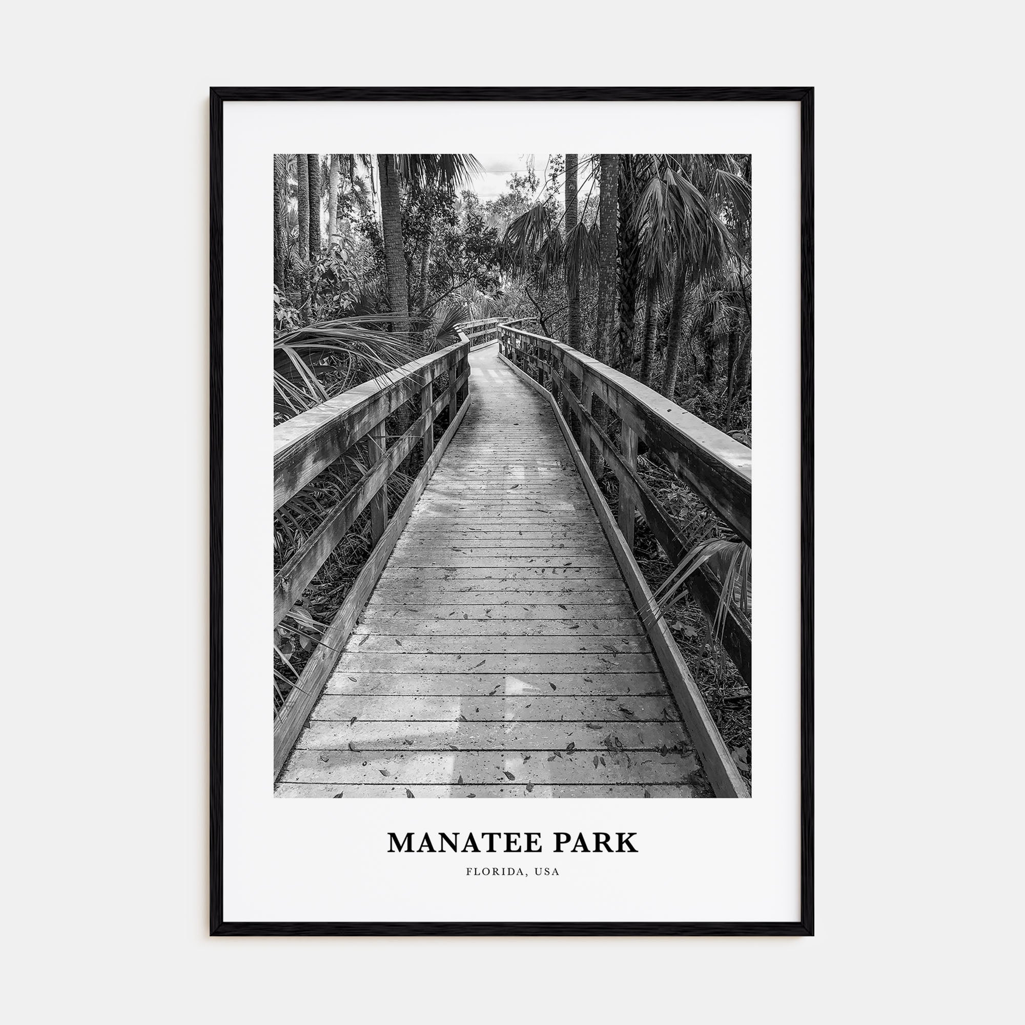 Manatee Park Portrait B&W Poster
