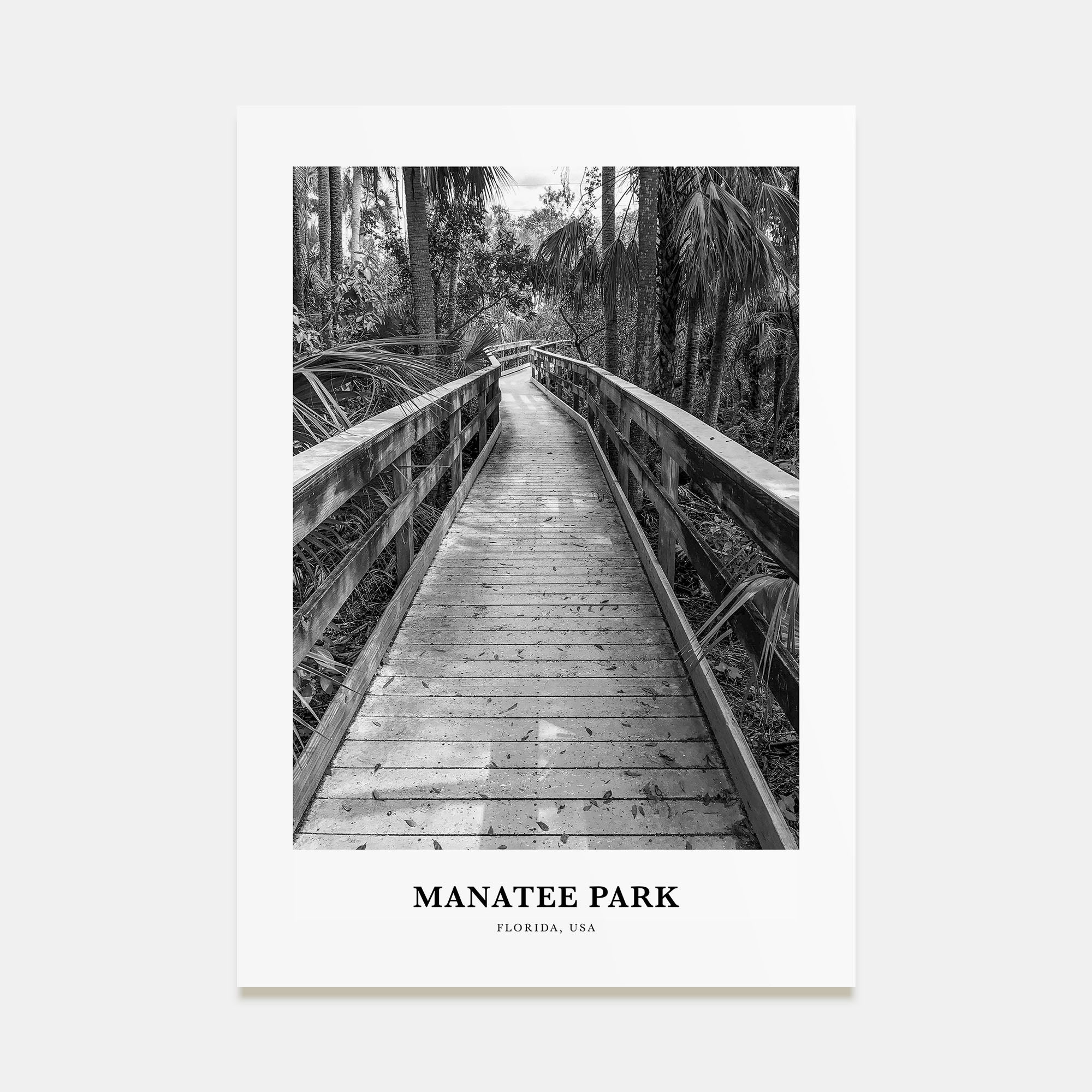Manatee Park Portrait B&W Poster
