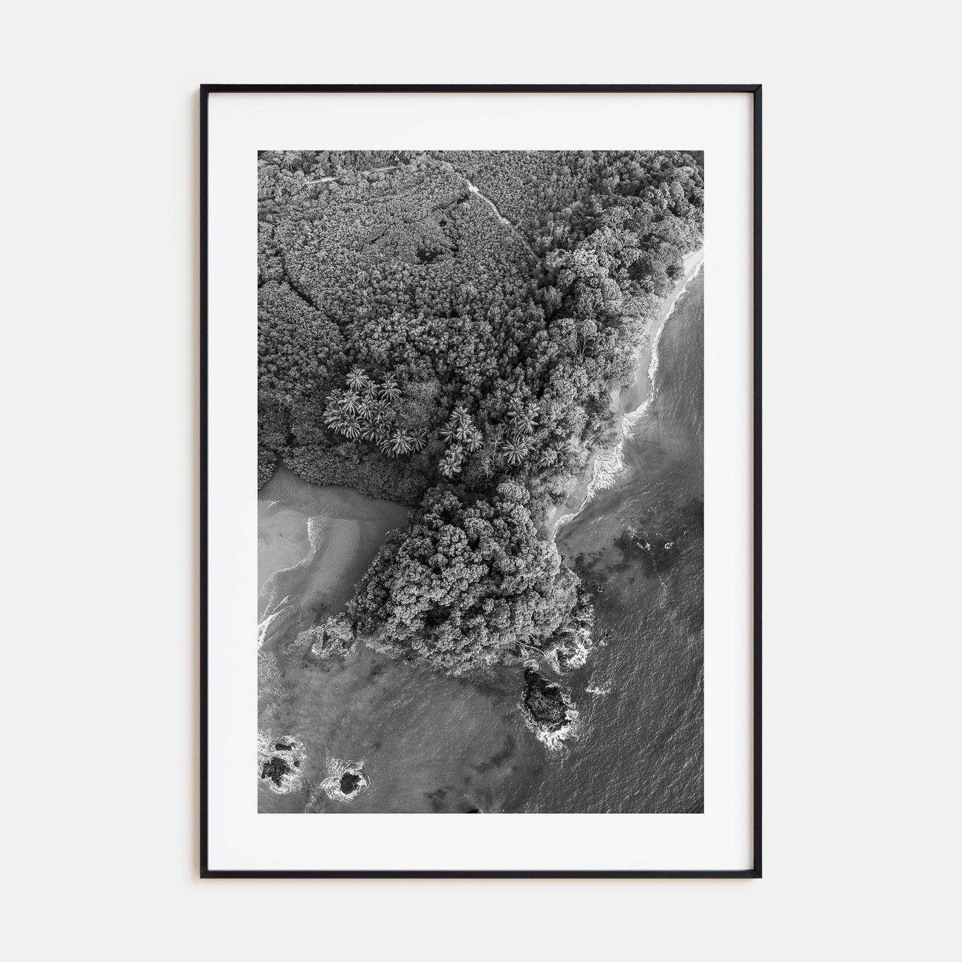 Manuel Antonio National Park Photo B&W Poster