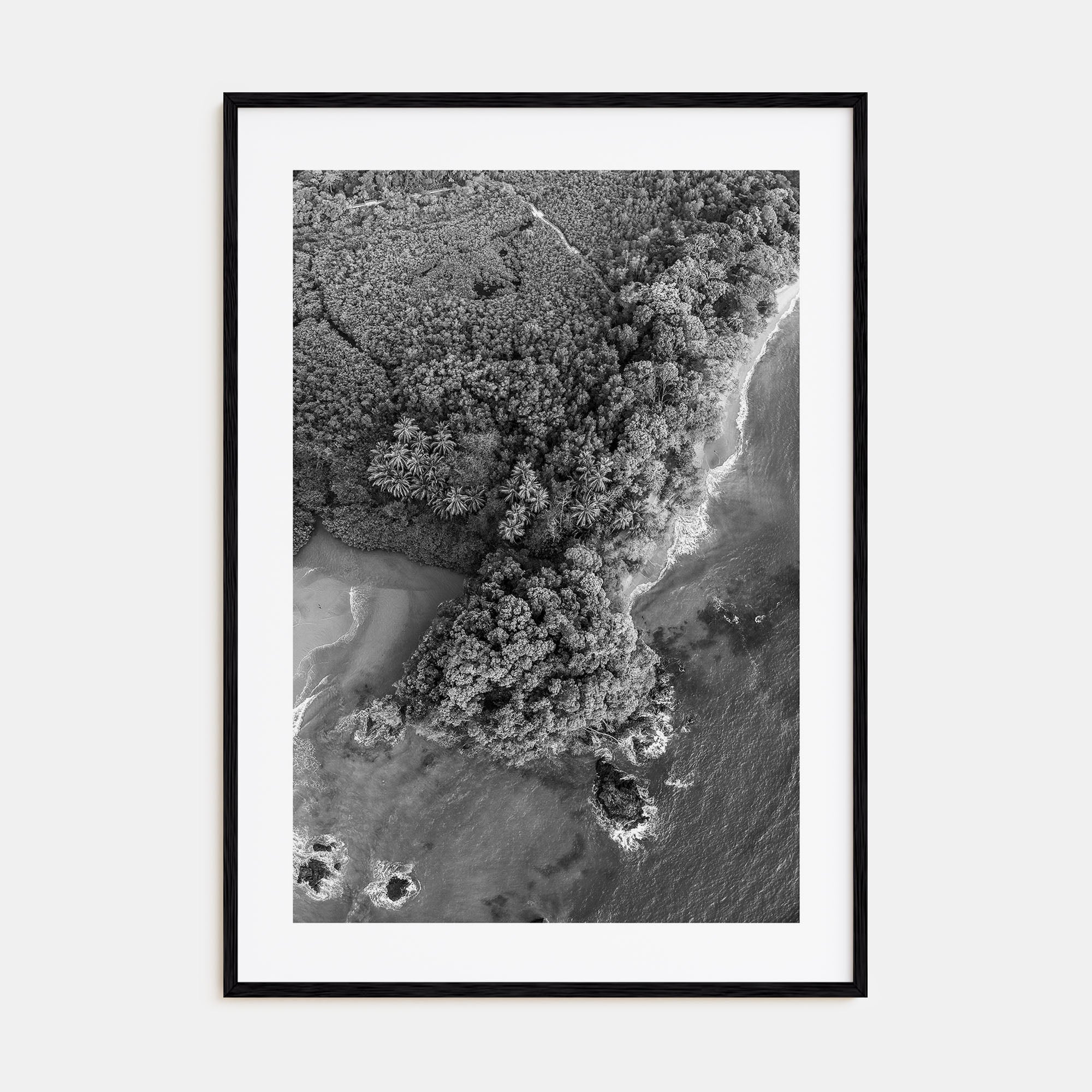 Manuel Antonio National Park Photo B&W Poster