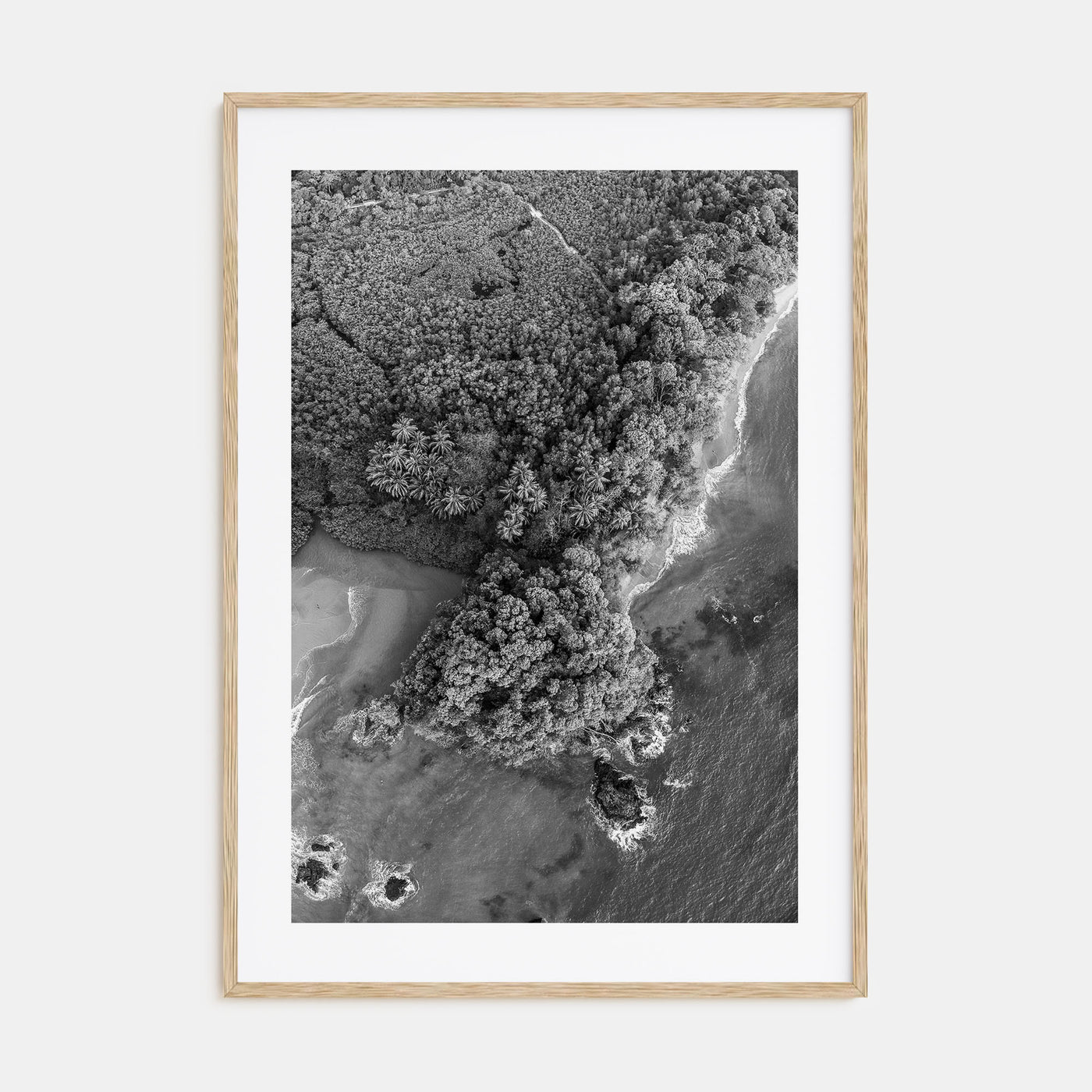 Manuel Antonio National Park Photo B&W Poster