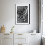 Manuel Antonio National Park Photo B&W Poster