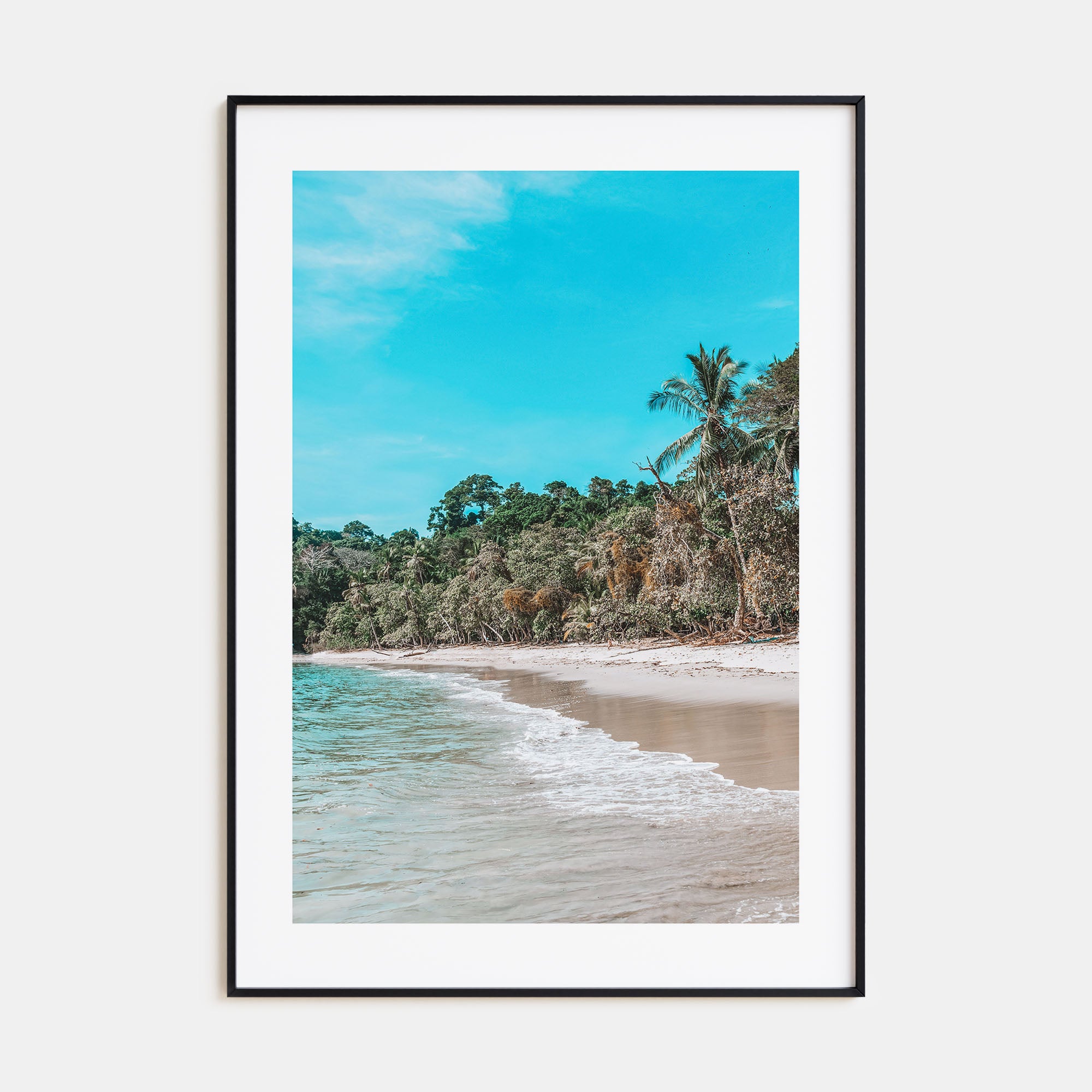 Manuel Antonio National Park Photo Color Poster