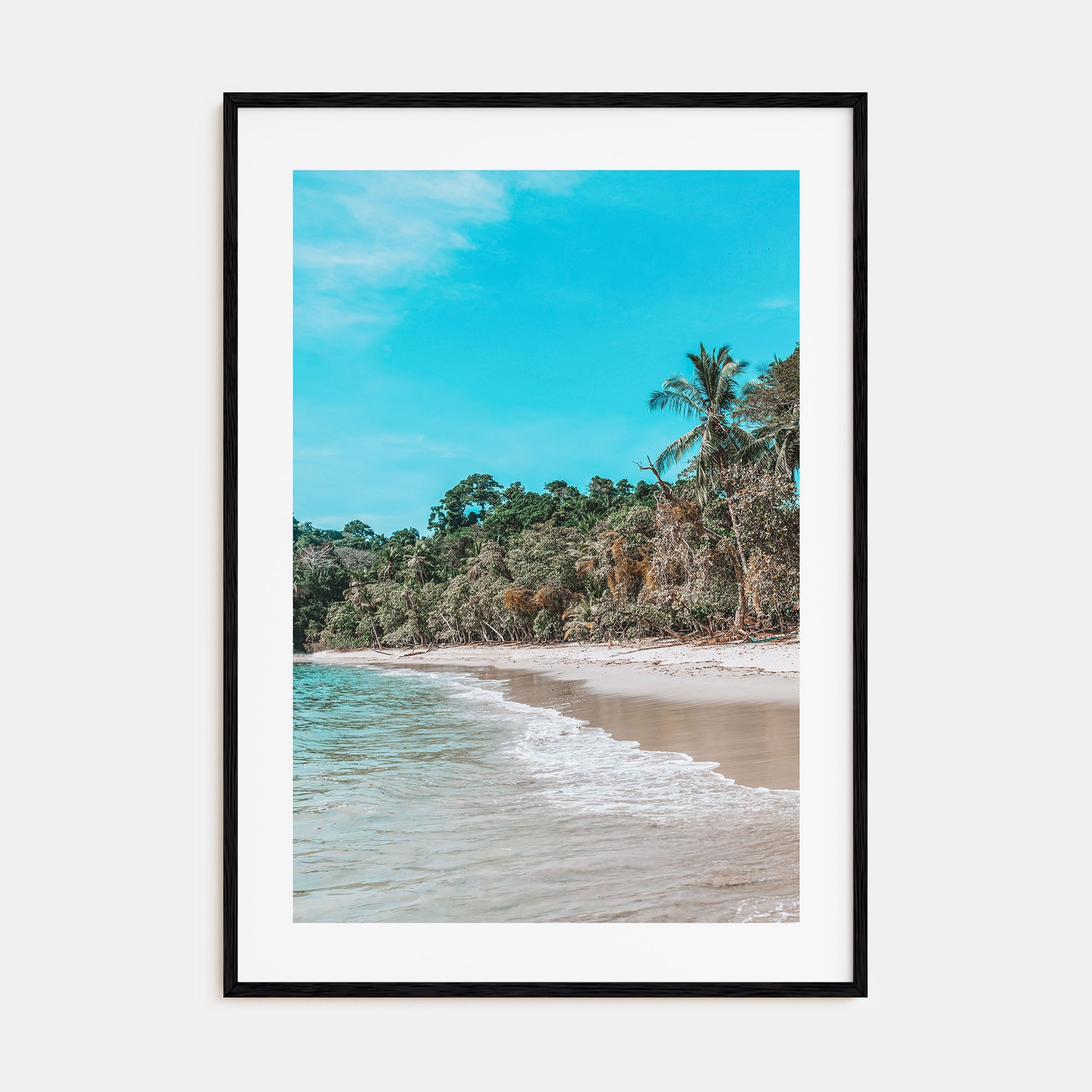 Manuel Antonio National Park Photo Color Poster