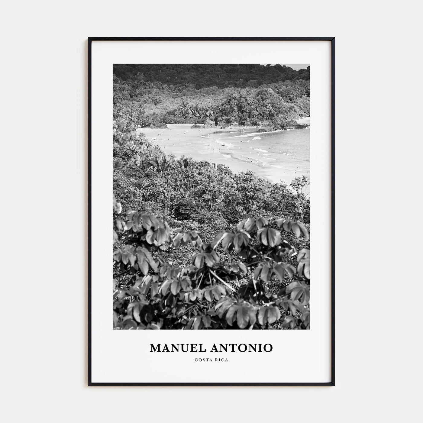 Manuel Antonio National Park Portrait B&W Poster